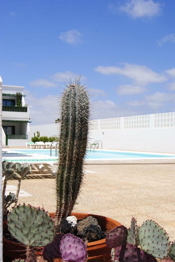 Magmamia Lejlighed Puerto del Carmen  Eksteriør billede